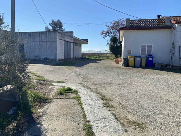 azienda agricola in vendita a Policoro