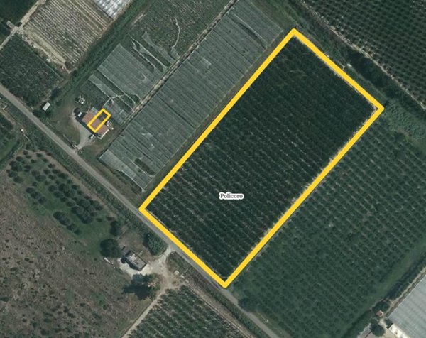 terreno agricolo in vendita a Policoro