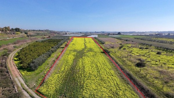 terreno agricolo in vendita a Policoro
