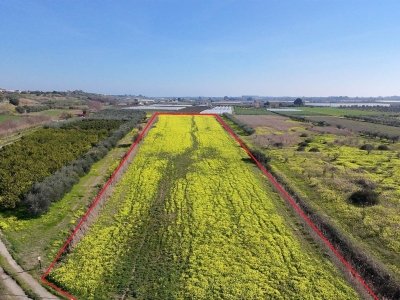terreno agricolo in vendita a Policoro