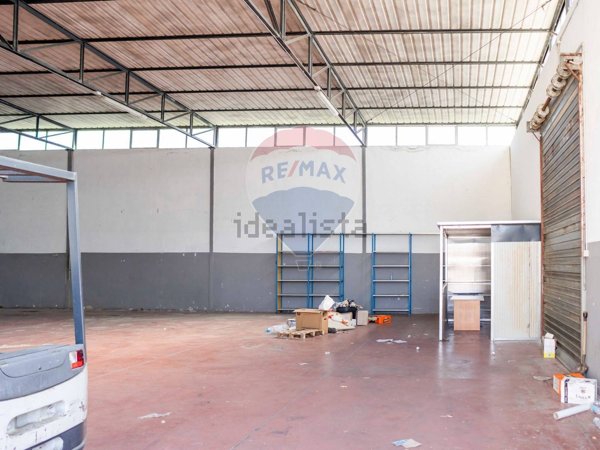 azienda agricola in vendita a Policoro