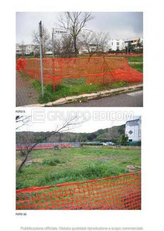 terreno agricolo in vendita a Policoro