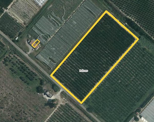 terreno agricolo in vendita a Policoro