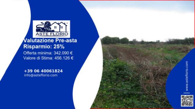 terreno agricolo in vendita a Policoro