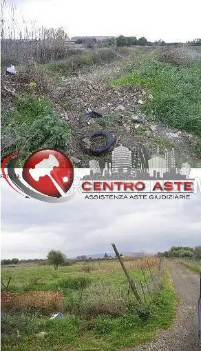 terreno agricolo in vendita a Policoro