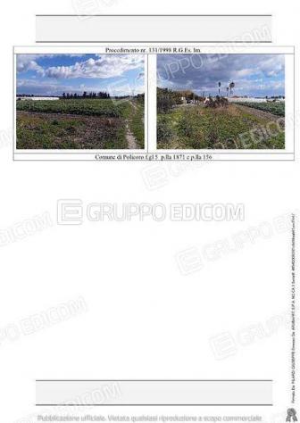 terreno agricolo in vendita a Policoro