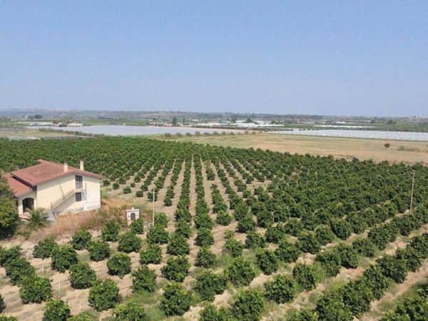 terreno agricolo in vendita a Policoro
