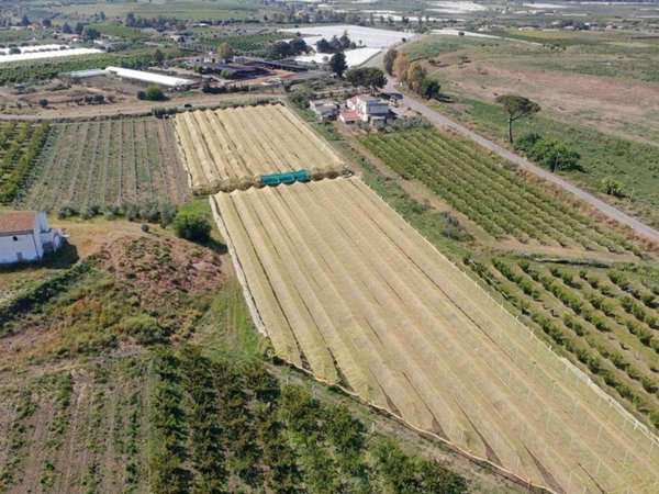 terreno agricolo in vendita a Policoro