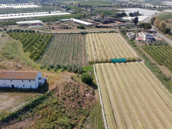 terreno agricolo in vendita a Policoro