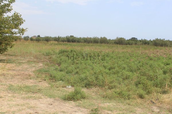 terreno agricolo in vendita a Policoro