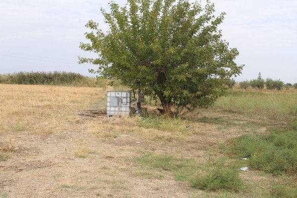 terreno agricolo in vendita a Policoro