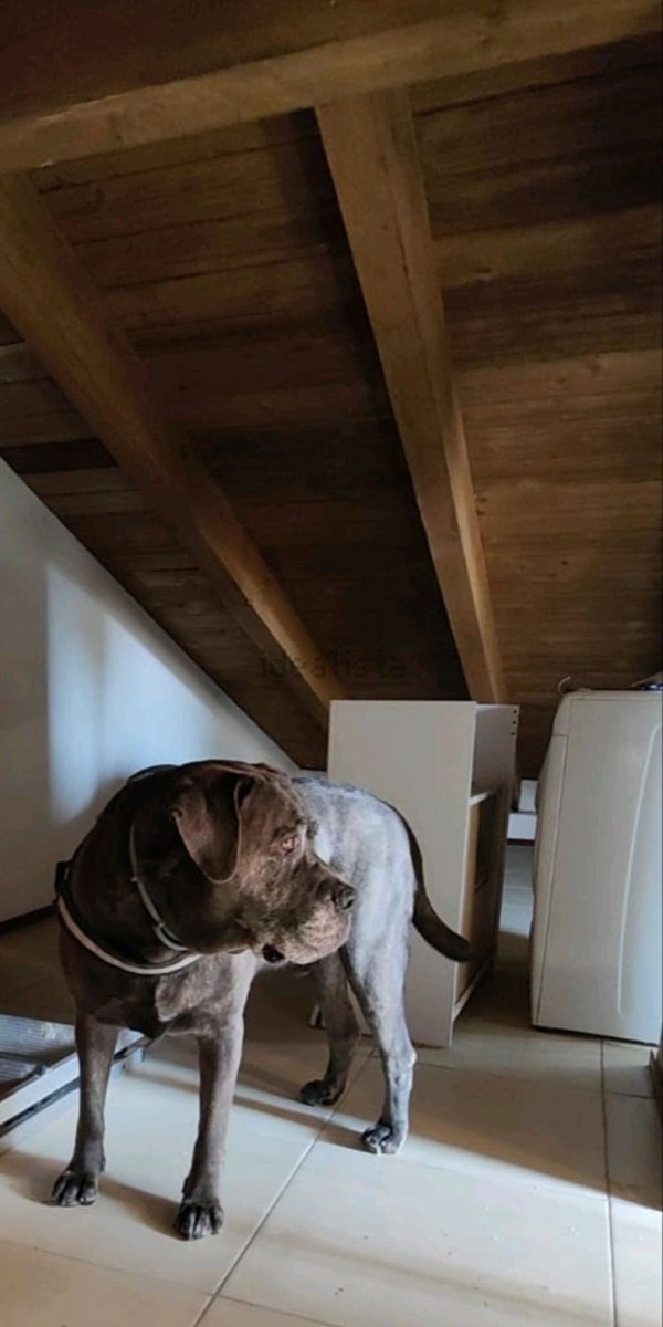 appartamento in vendita a Policoro