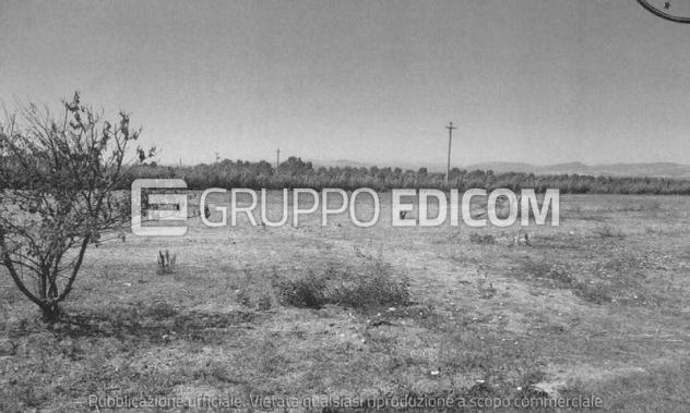 rudere in vendita a Policoro