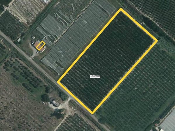 terreno agricolo in vendita a Policoro