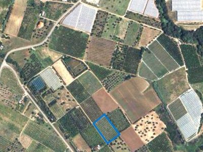 terreno agricolo in vendita a Policoro