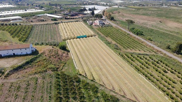 terreno agricolo in vendita a Policoro