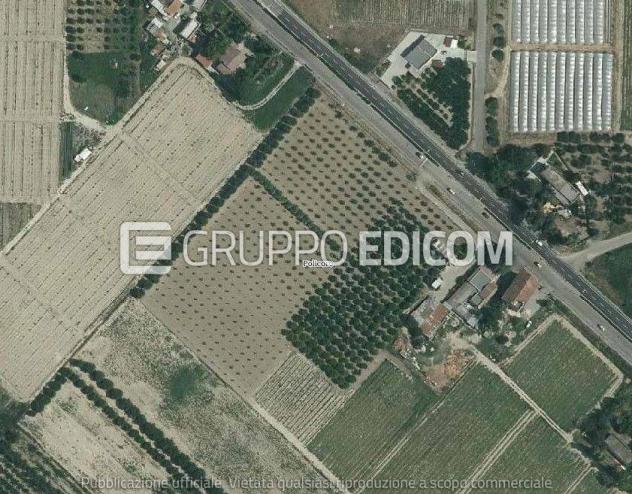 locale commerciale in vendita a Policoro