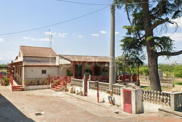 casa indipendente in vendita a Policoro