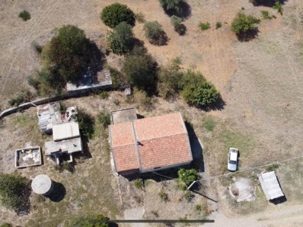 terreno agricolo in vendita a Policoro