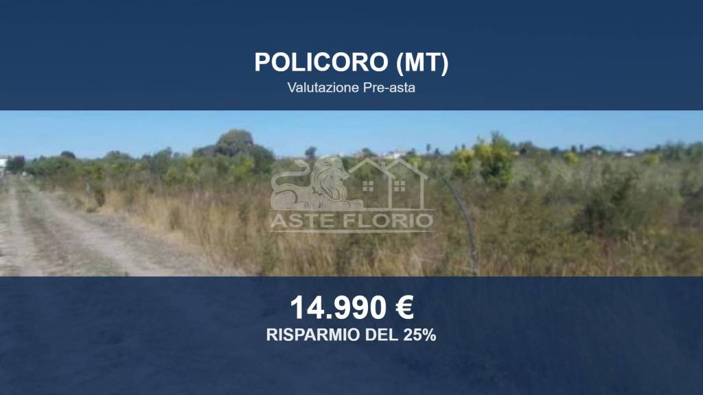 terreno agricolo in vendita a Policoro