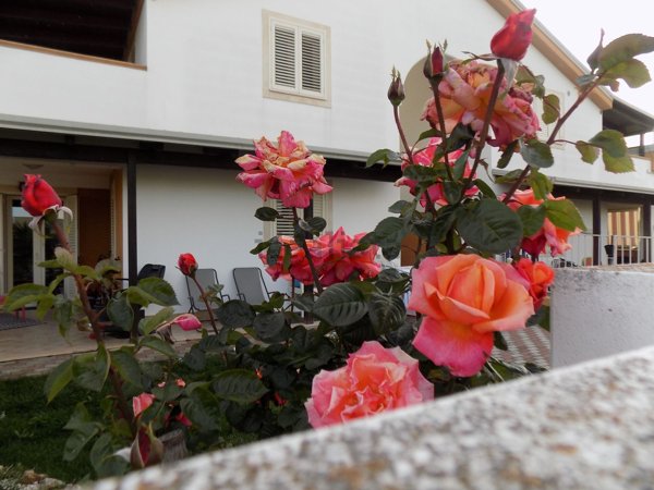 casa indipendente in vendita a Policoro