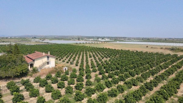 terreno agricolo in vendita a Policoro