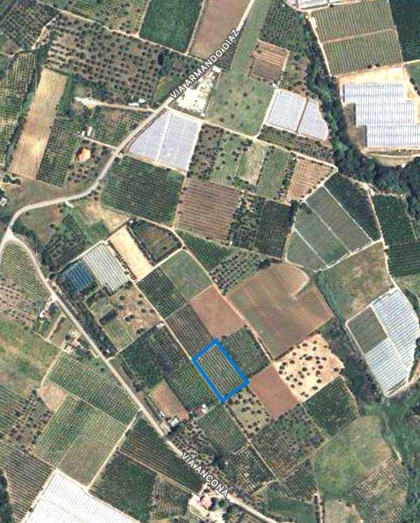 terreno agricolo in vendita a Policoro