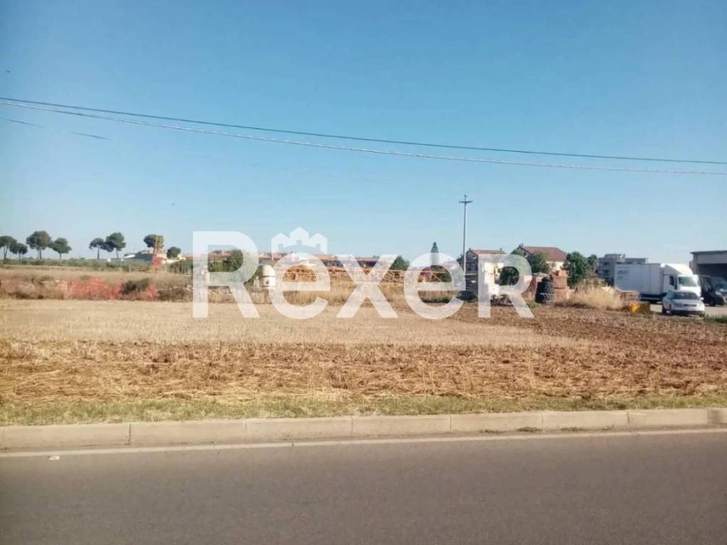 terreno agricolo in vendita a Policoro