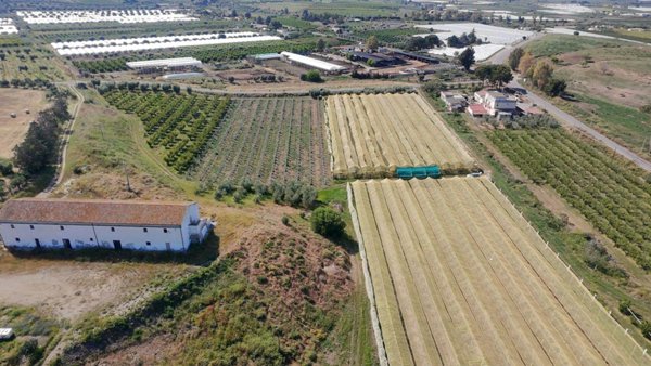terreno agricolo in vendita a Policoro