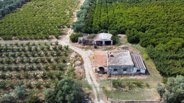 terreno agricolo in vendita a Policoro