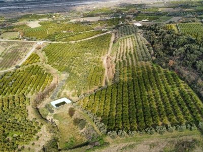 terreno agricolo in vendita a Rotondella