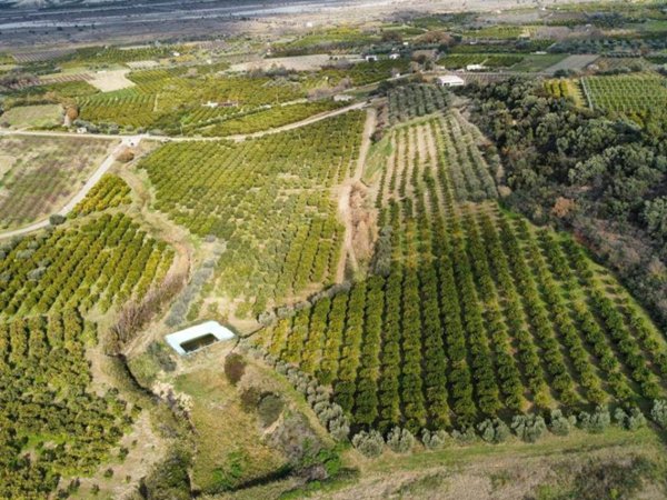 terreno agricolo in vendita a Rotondella