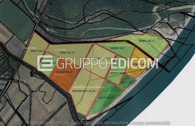 terreno agricolo in vendita a Rotondella