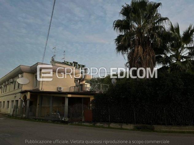 negozio in vendita a Salandra