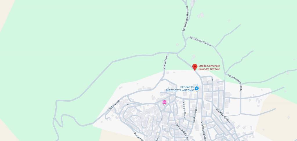 negozio in vendita a Salandra