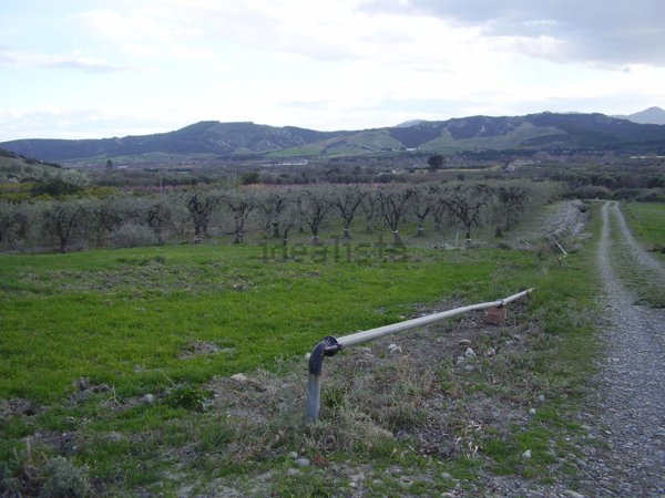 casa indipendente in vendita a Stigliano