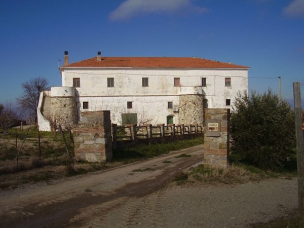 terreno agricolo in vendita a Tursi