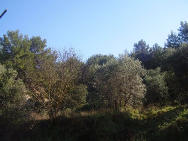 casa indipendente in vendita a Tursi
