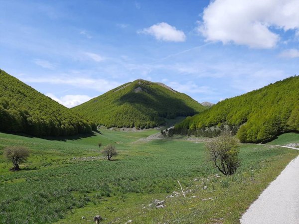 terreno agricolo in vendita a Tursi