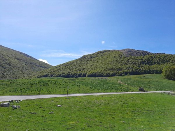 terreno agricolo in vendita a Tursi