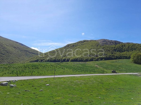 terreno agricolo in vendita a Tursi