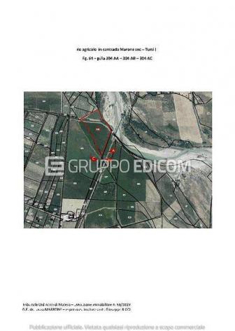 terreno agricolo in vendita a Tursi