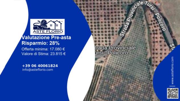 terreno agricolo in vendita a Tursi