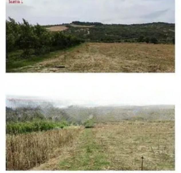 terreno agricolo in vendita a Tursi