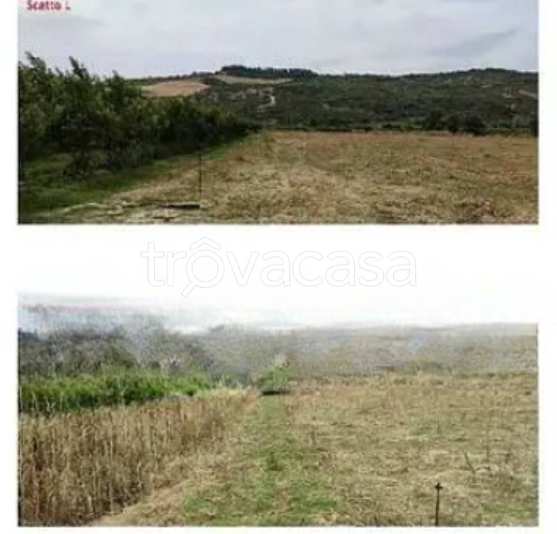 terreno agricolo in vendita a Tursi