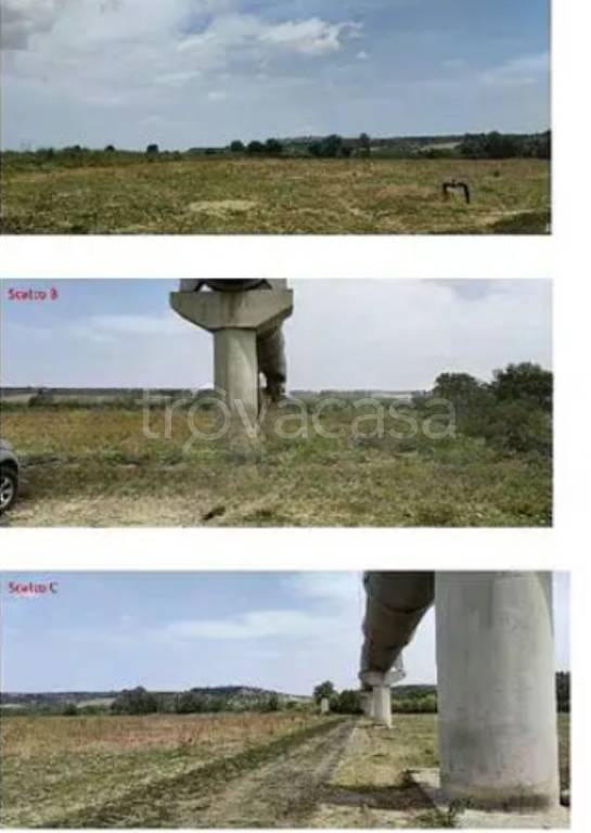terreno agricolo in vendita a Tursi