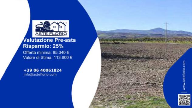 terreno agricolo in vendita a Tursi