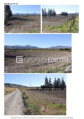 terreno agricolo in vendita a Tursi