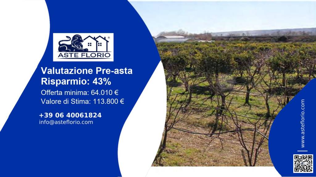 terreno agricolo in vendita a Tursi