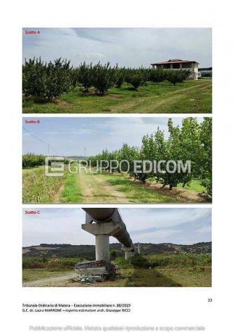 terreno agricolo in vendita a Tursi